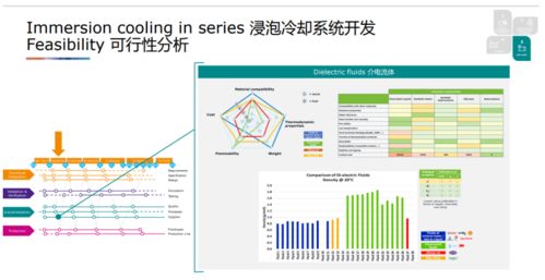 奧地利 AVL 李斯特公司電池產品經理郭茹 電池浸泡冷卻 技術亮點及量產開發中的挑戰