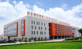 利辛農(nóng)民,土壤可以通過修復(fù),實現(xiàn)作物高產(chǎn),金正大國際富朗產(chǎn)品將在利辛,開啟親土種植新時代